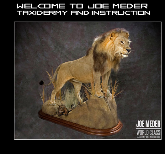 Joe Meder World Class Taxidermy and Instruction